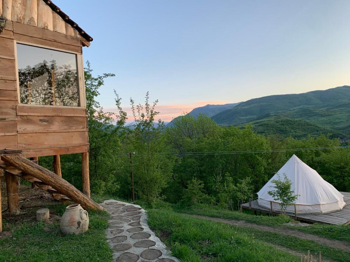 Alereks Mountain Camping *