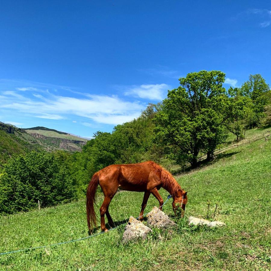 Alereks Mountain Campingplatz